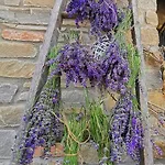 Agriturismo Mondo Bubbio