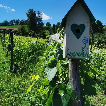 Agriturismo Mondo
