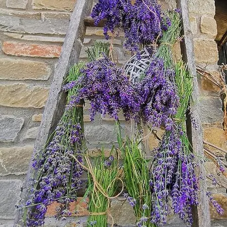 Agriturismo Mondo 부비오