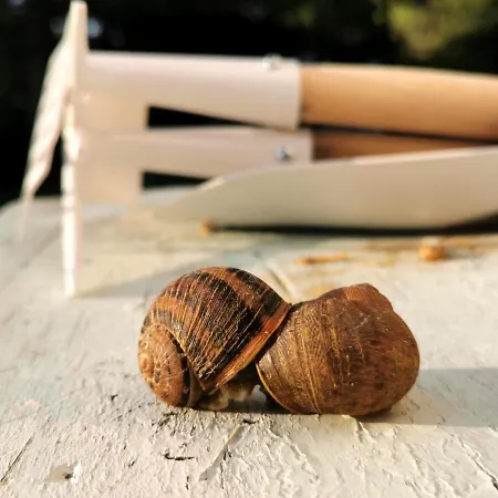 Agriturismo Mondo * 부비오