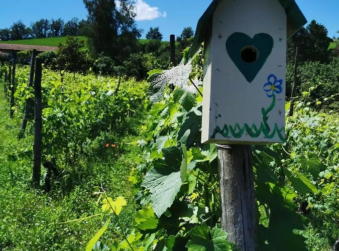 Agriturismo Mondo